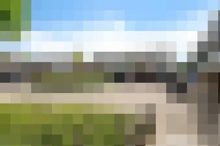 Wijnberg 25 Zoetermeer thumbnail 55