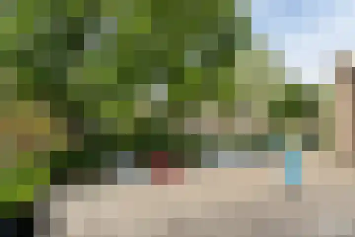 Wijnberg 25 Zoetermeer thumbnail 6
