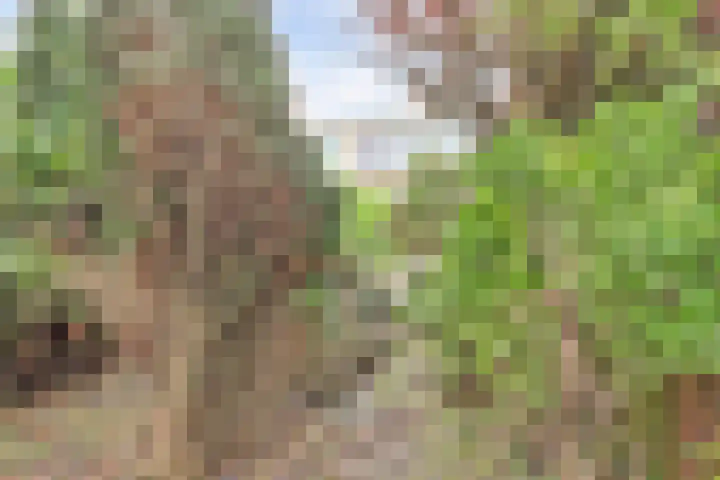 Wijnberg 30 Zoetermeer thumbnail 21