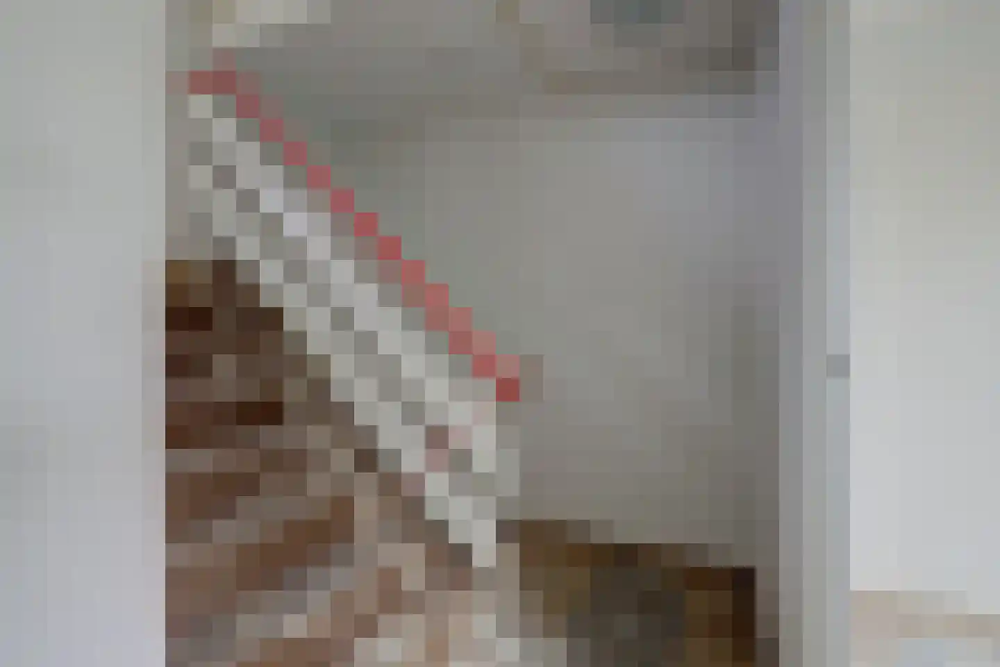 Wijnberg 30 Zoetermeer thumbnail 22