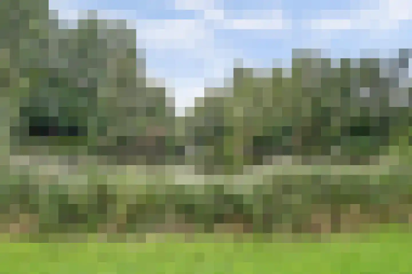 Wijnberg 30 Zoetermeer thumbnail 32