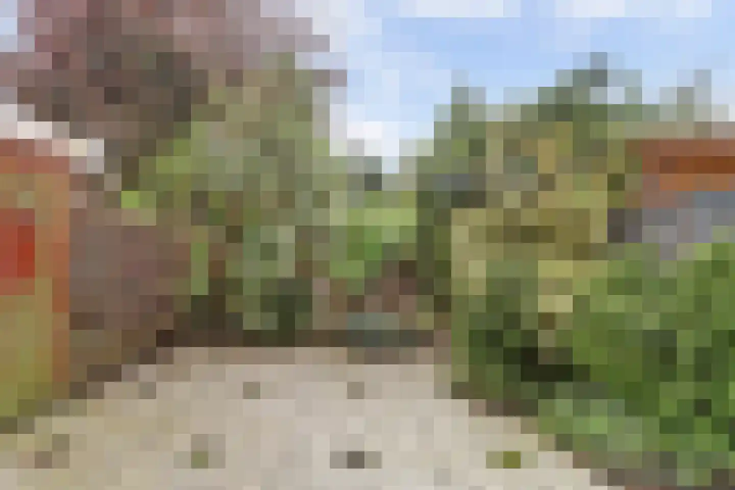 Wijnberg 30 Zoetermeer thumbnail 5