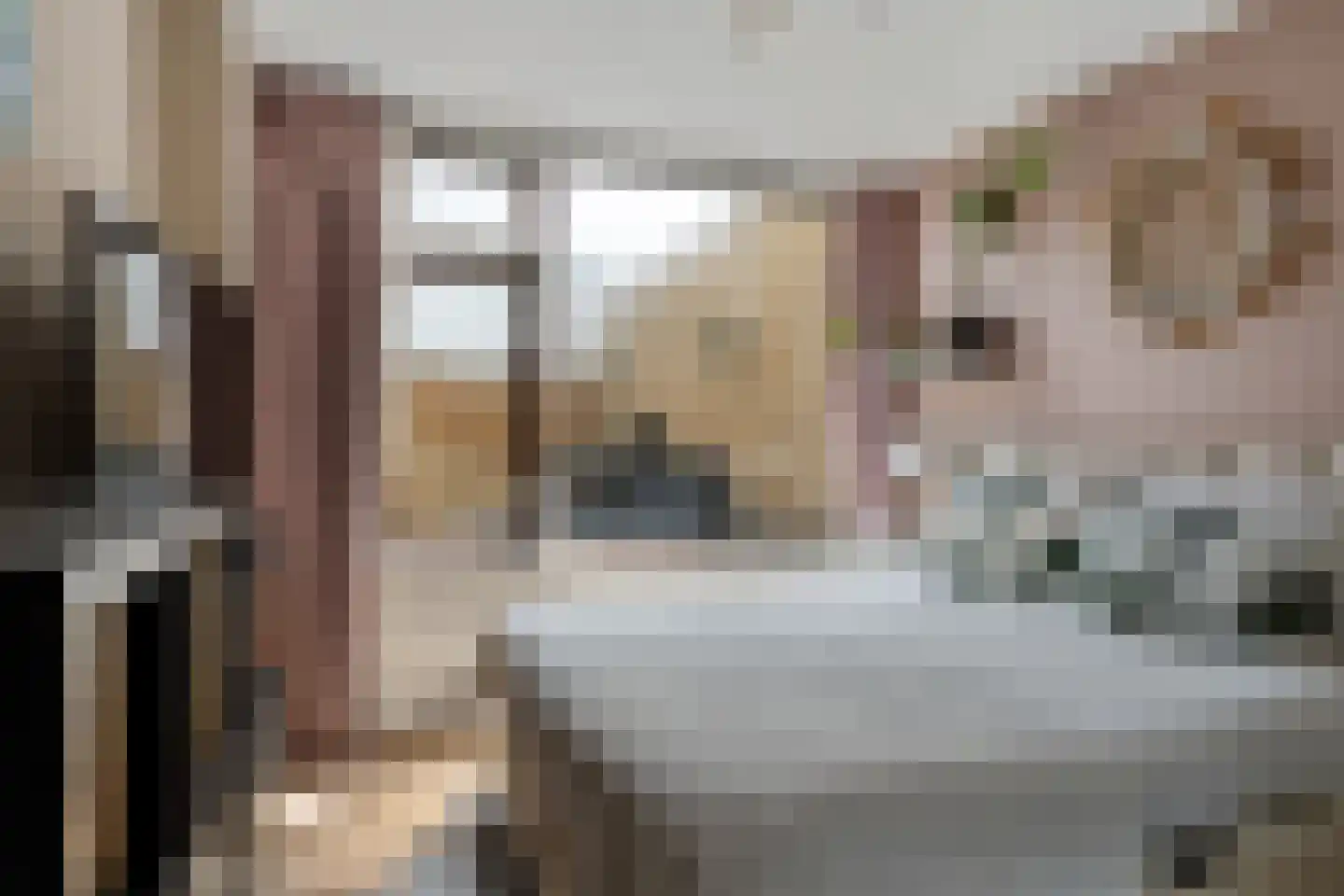 Wijnberg 7 Zoetermeer thumbnail 26