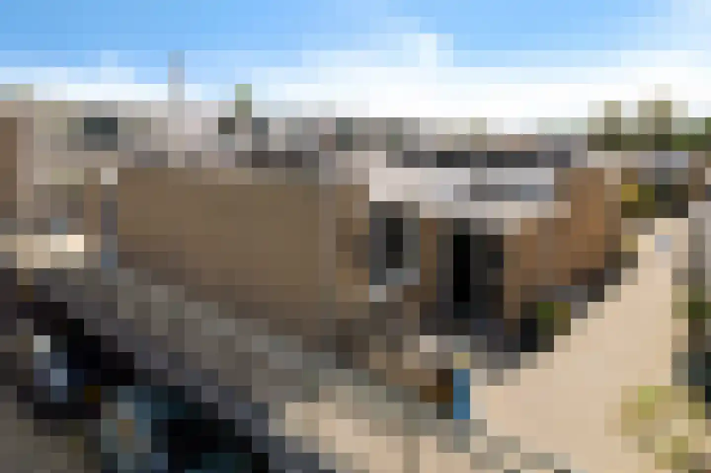 Wijnberg 7 Zoetermeer thumbnail 5