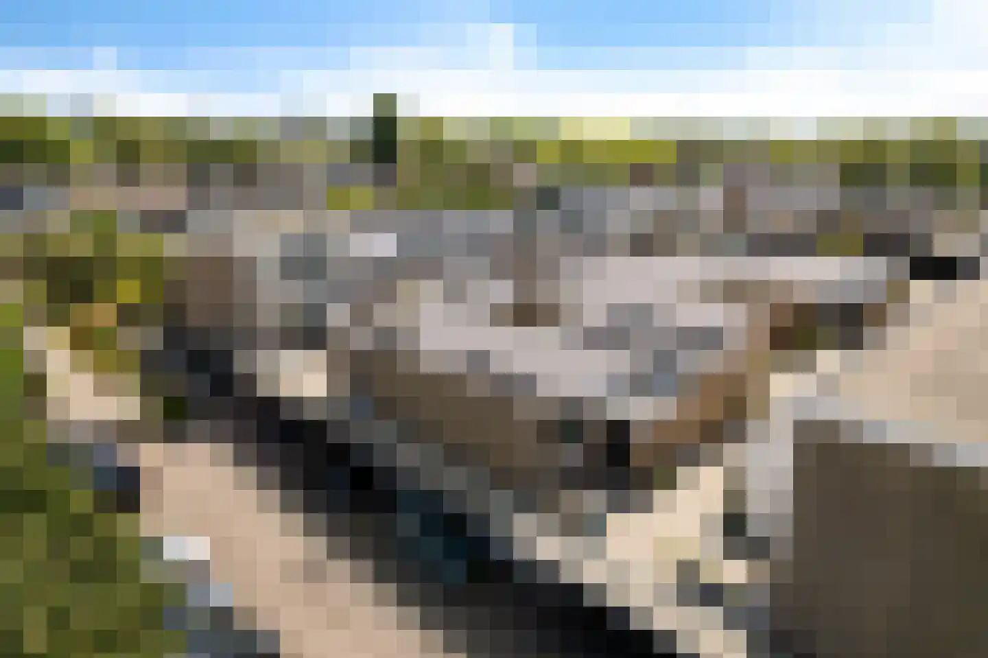 Wijnberg 7 Zoetermeer thumbnail 6