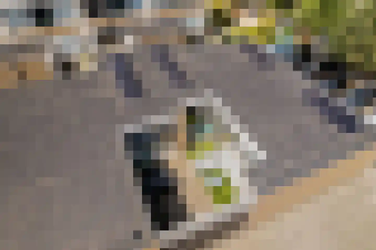 Wijnberg 7 Zoetermeer thumbnail 8