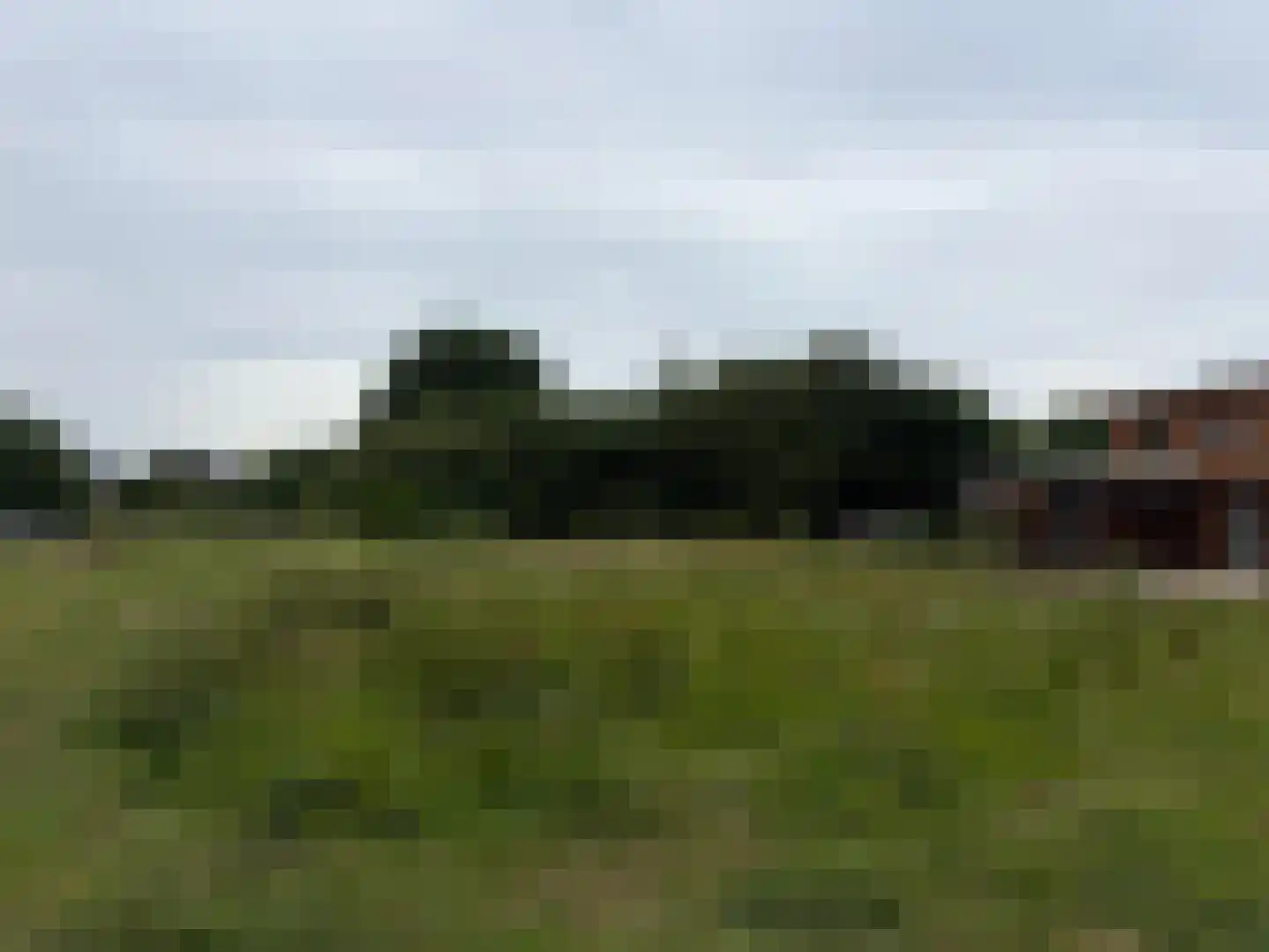 Wijnbergen - De Kwekerij: Kavel D4 Wijnbergen thumbnail 5