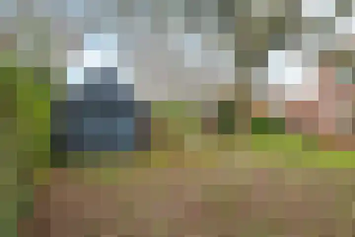 Wijnbergseweg 142 A Doetinchem thumbnail 56