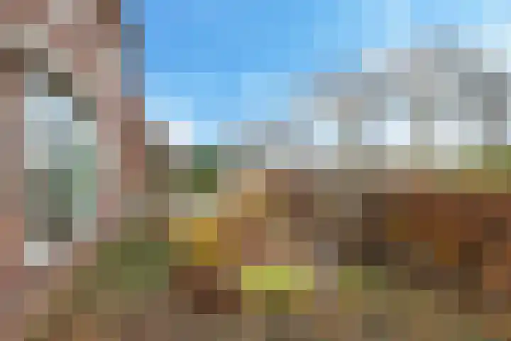 Wijnbergseweg 142 A Doetinchem thumbnail 7