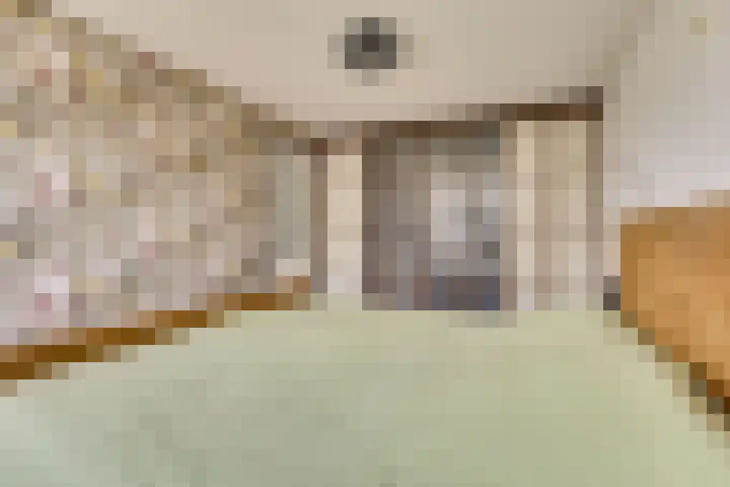 Wijnbesgaarde 6 Nieuwegein thumbnail 25