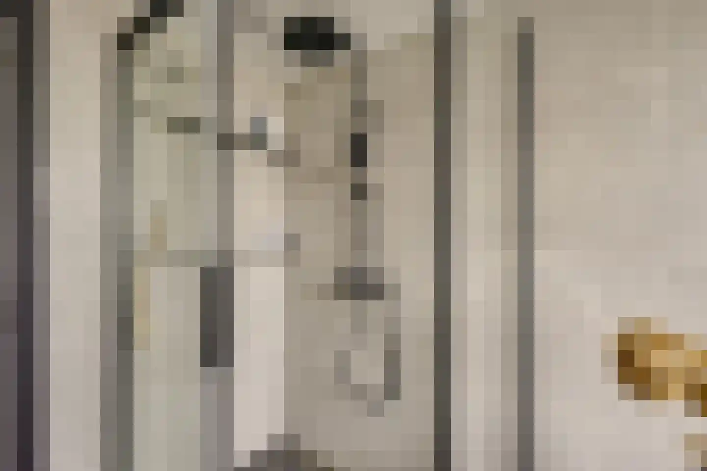 Wijnbesgaarde 6 Nieuwegein thumbnail 30