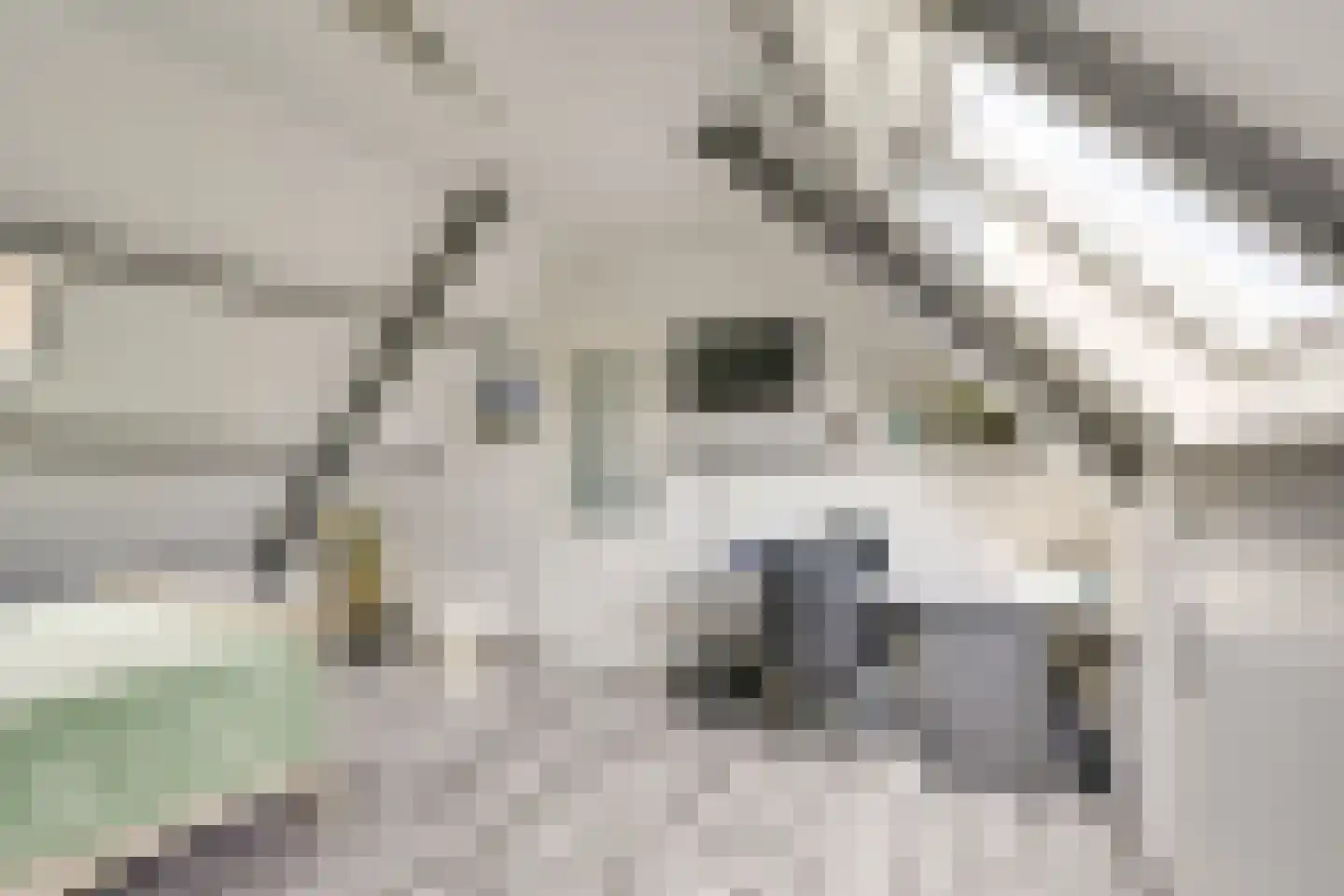 Wijnbesgaarde 6 Nieuwegein thumbnail 34