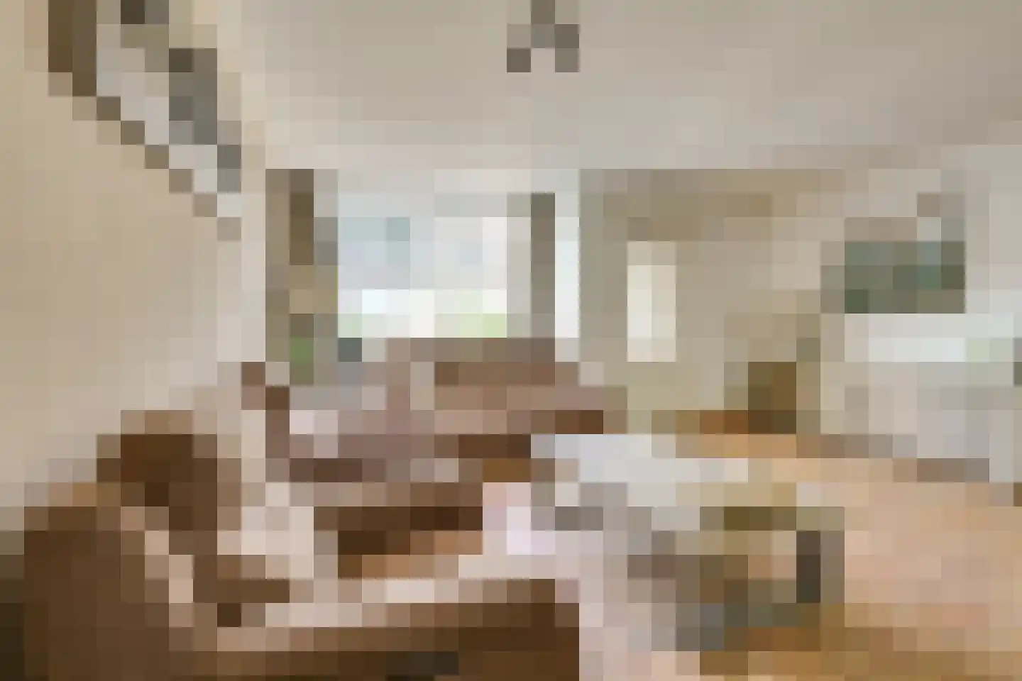 Wijnbesgaarde 6 Nieuwegein thumbnail 8
