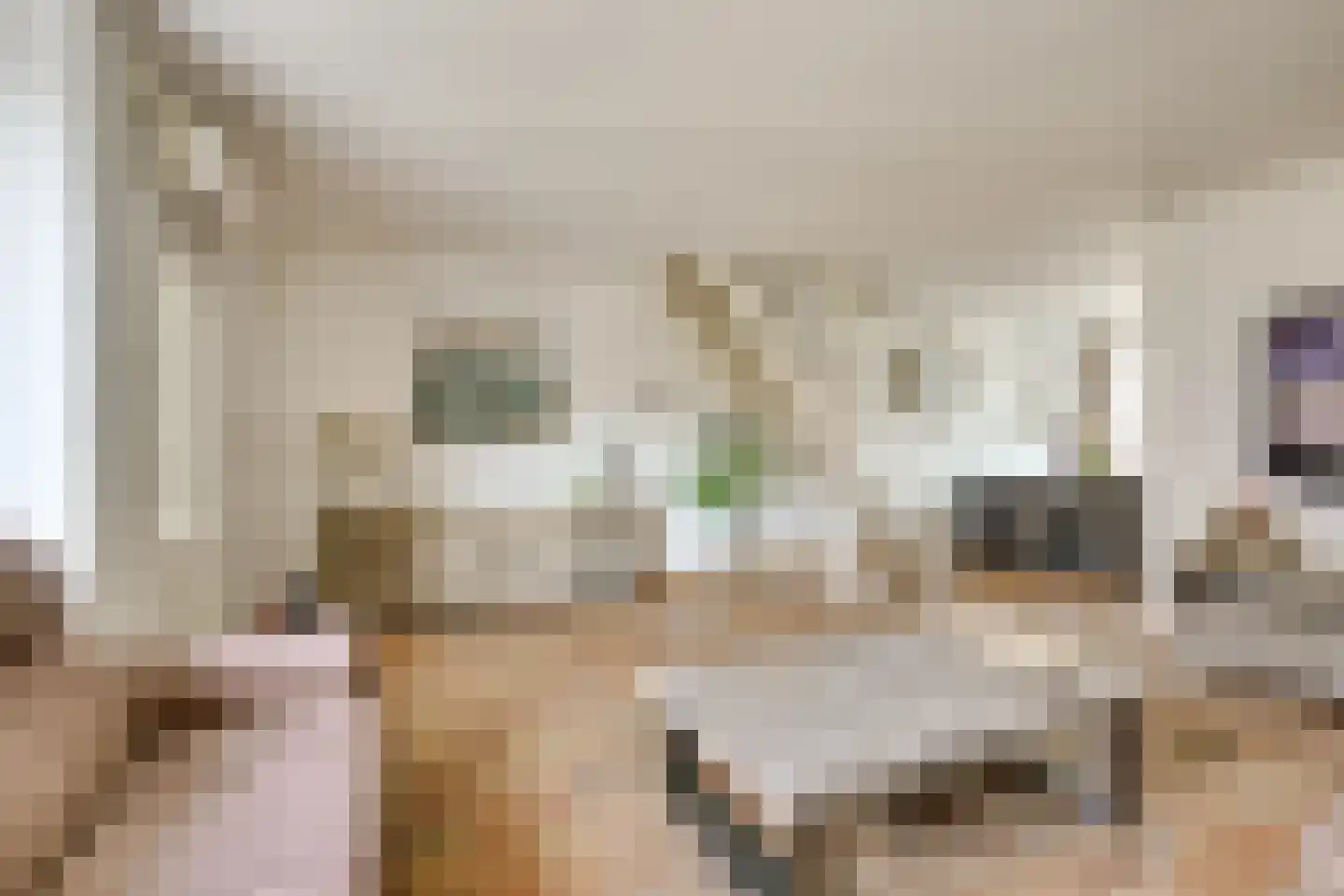 Wijnbesgaarde 6 Nieuwegein thumbnail 9