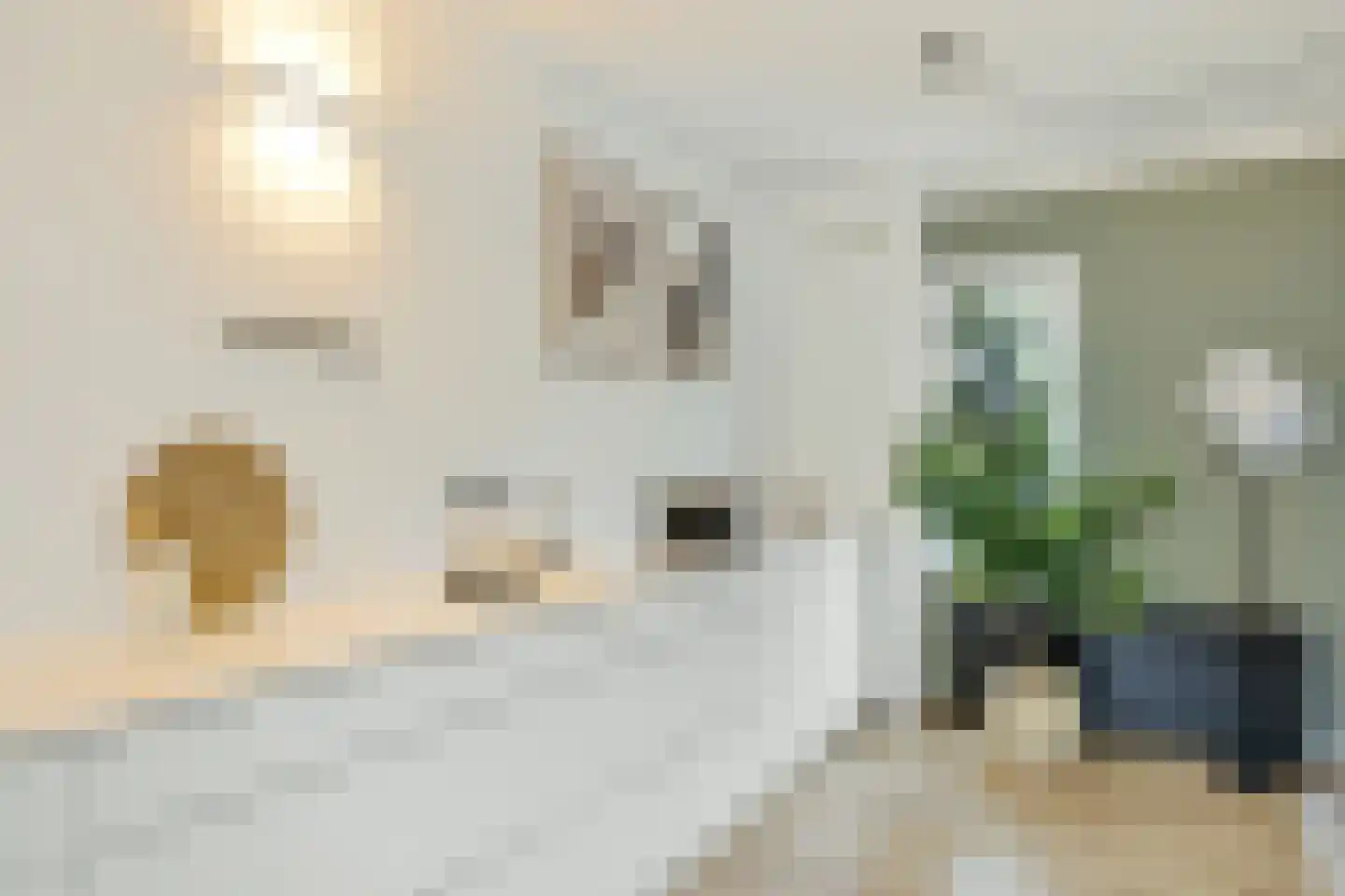 Wijnbesplantsoen 3 Utrecht thumbnail 19