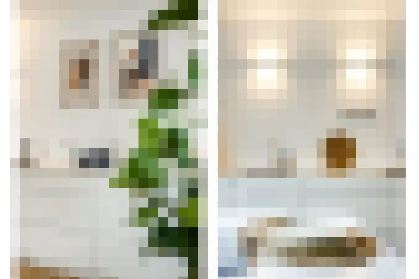 Wijnbesplantsoen 3 Utrecht thumbnail 20