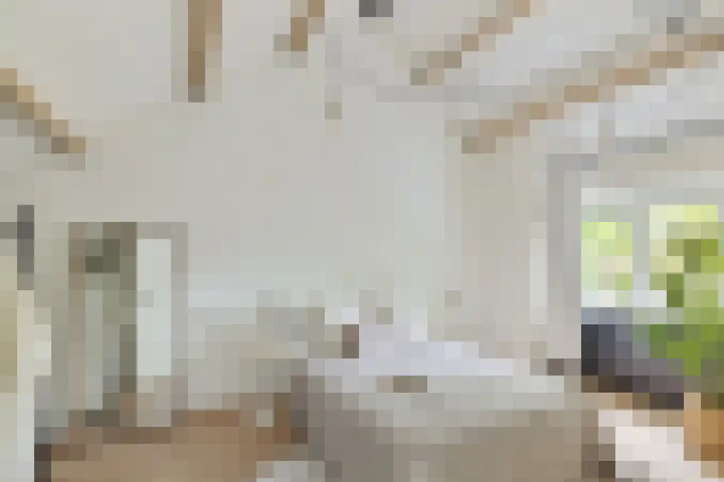 Wijnbesplantsoen 3 Utrecht thumbnail 24