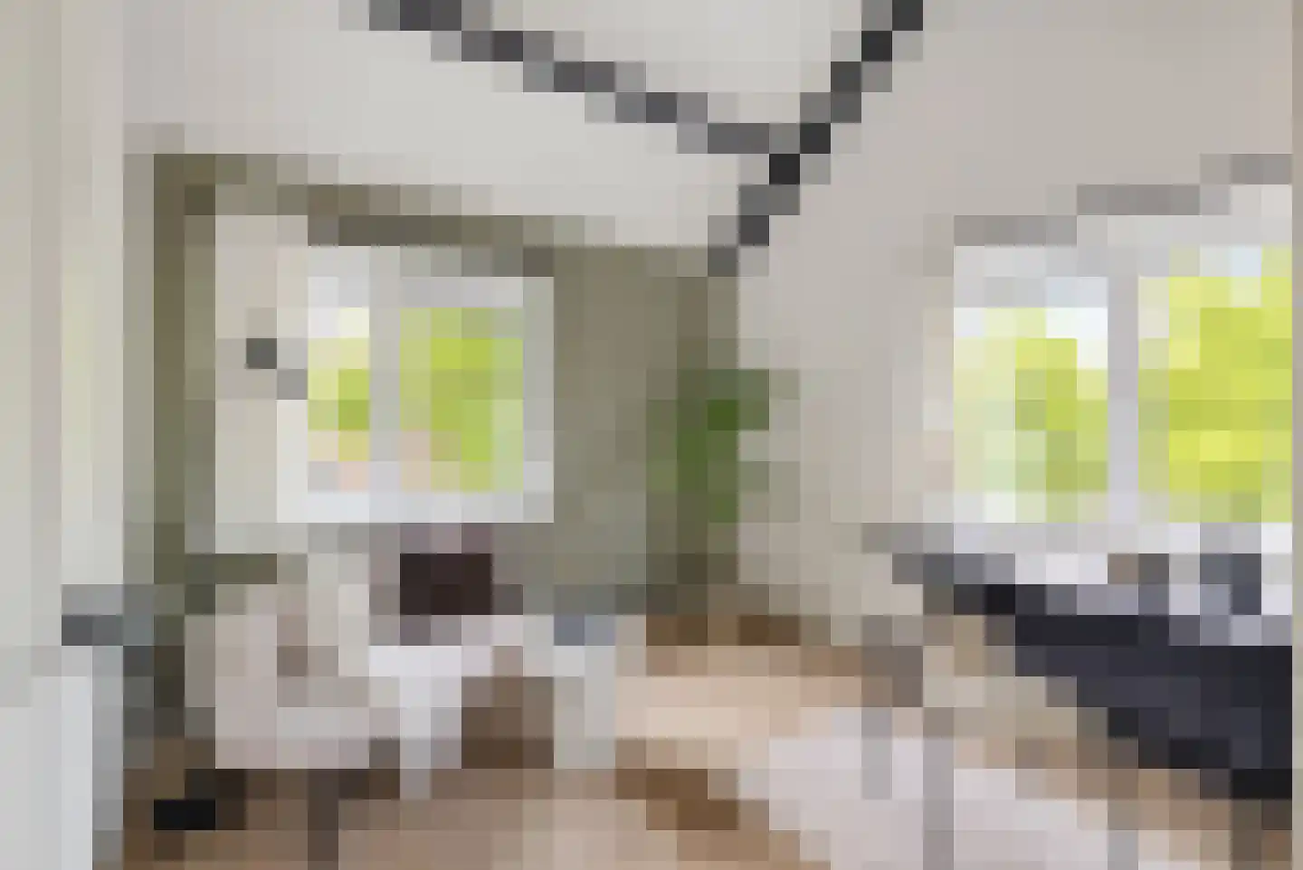 Wijnbesplantsoen 3 Utrecht thumbnail 27