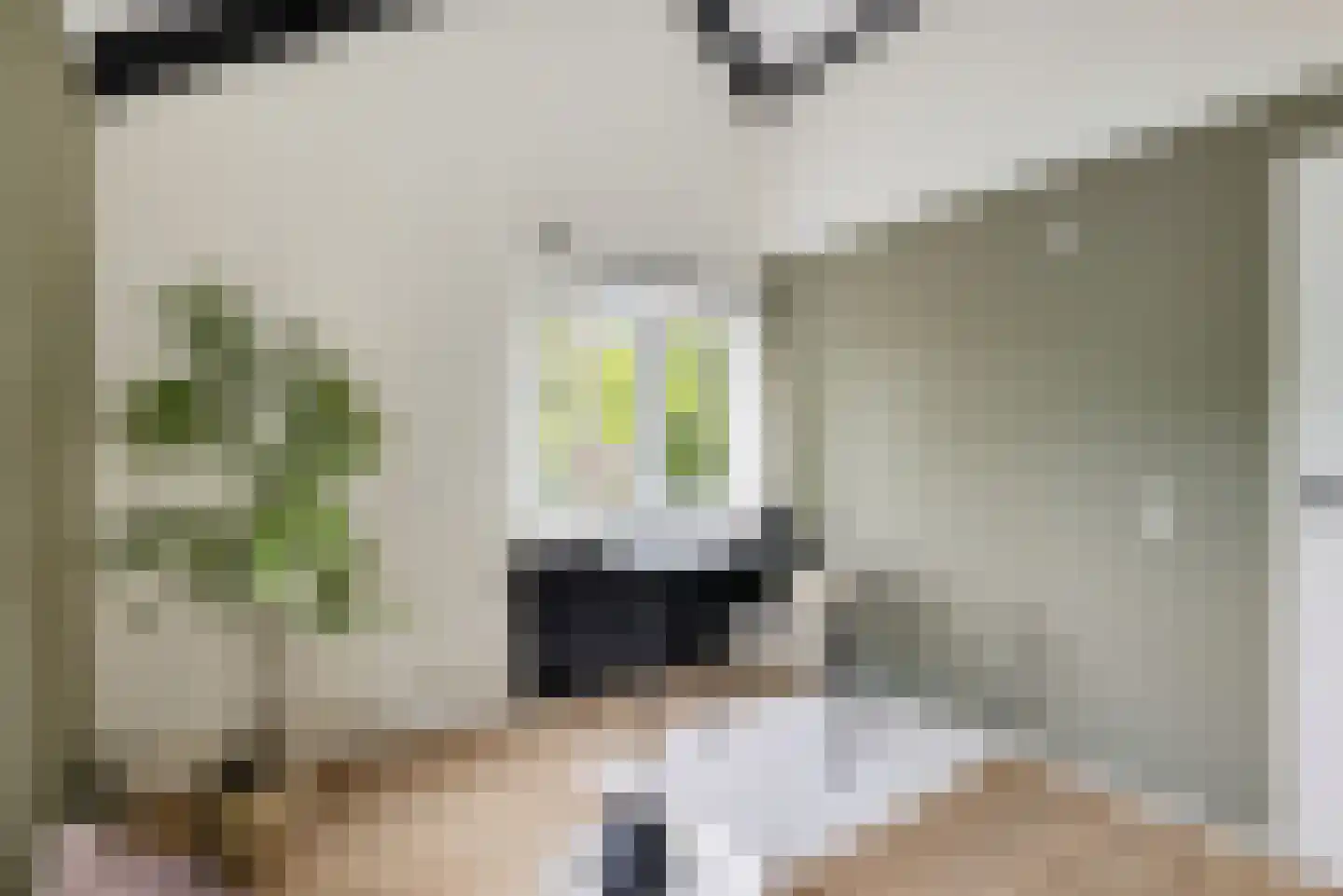 Wijnbesplantsoen 3 Utrecht thumbnail 28