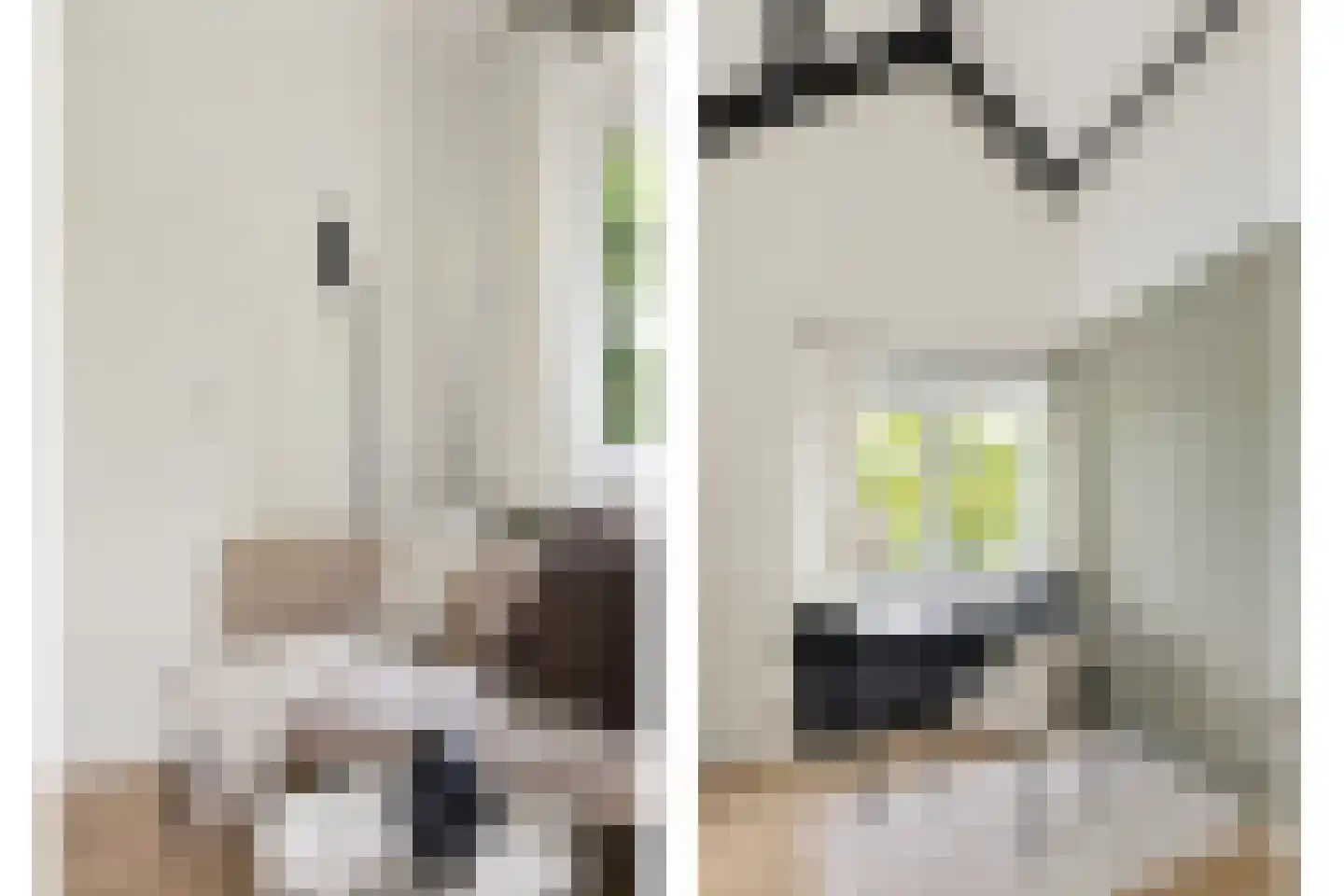 Wijnbesplantsoen 3 Utrecht thumbnail 29