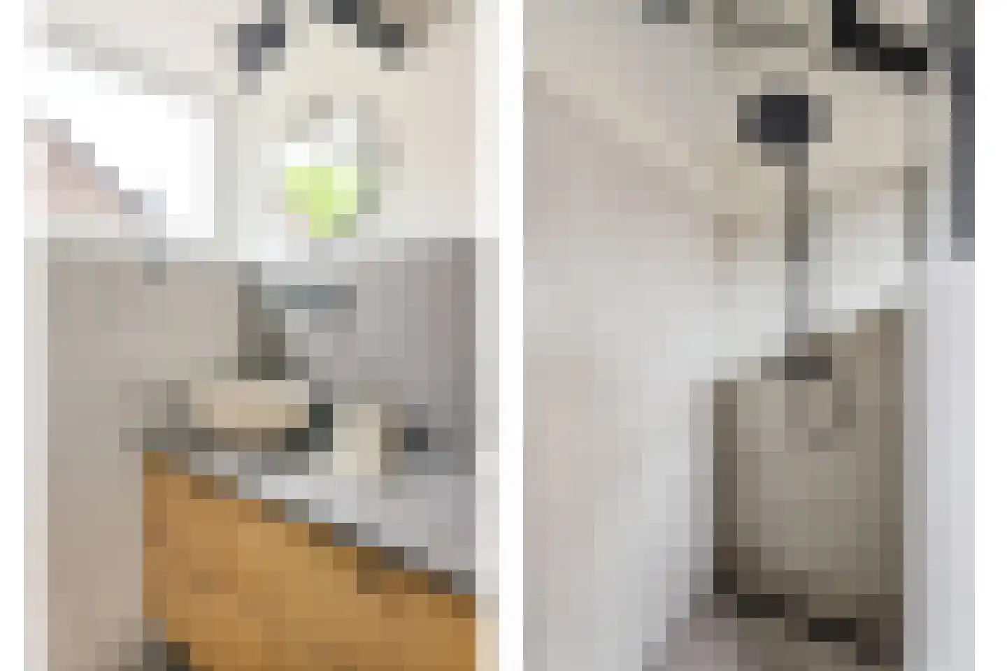 Wijnbesplantsoen 3 Utrecht thumbnail 31