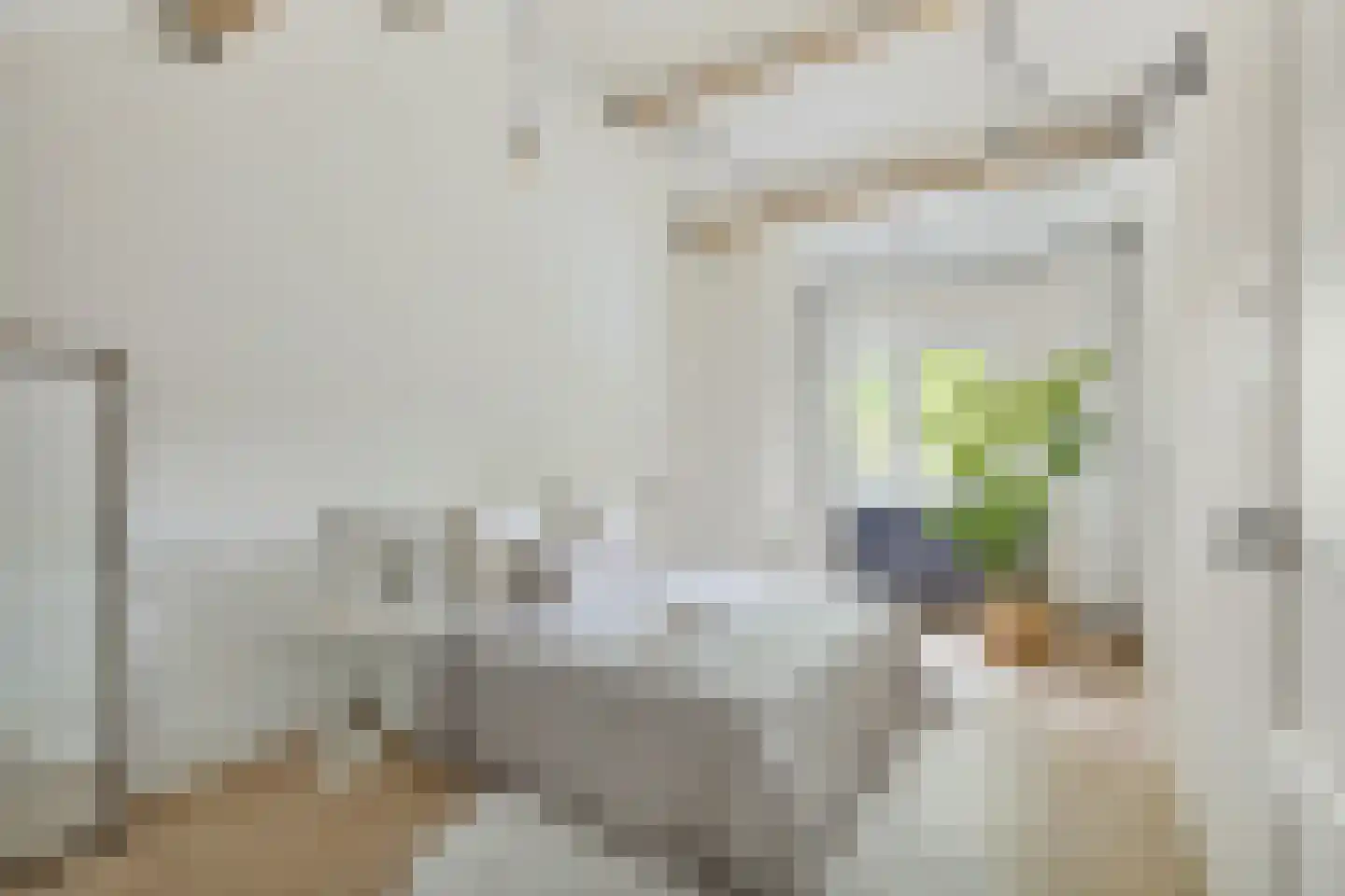Wijnbesplantsoen 3 Utrecht thumbnail 4