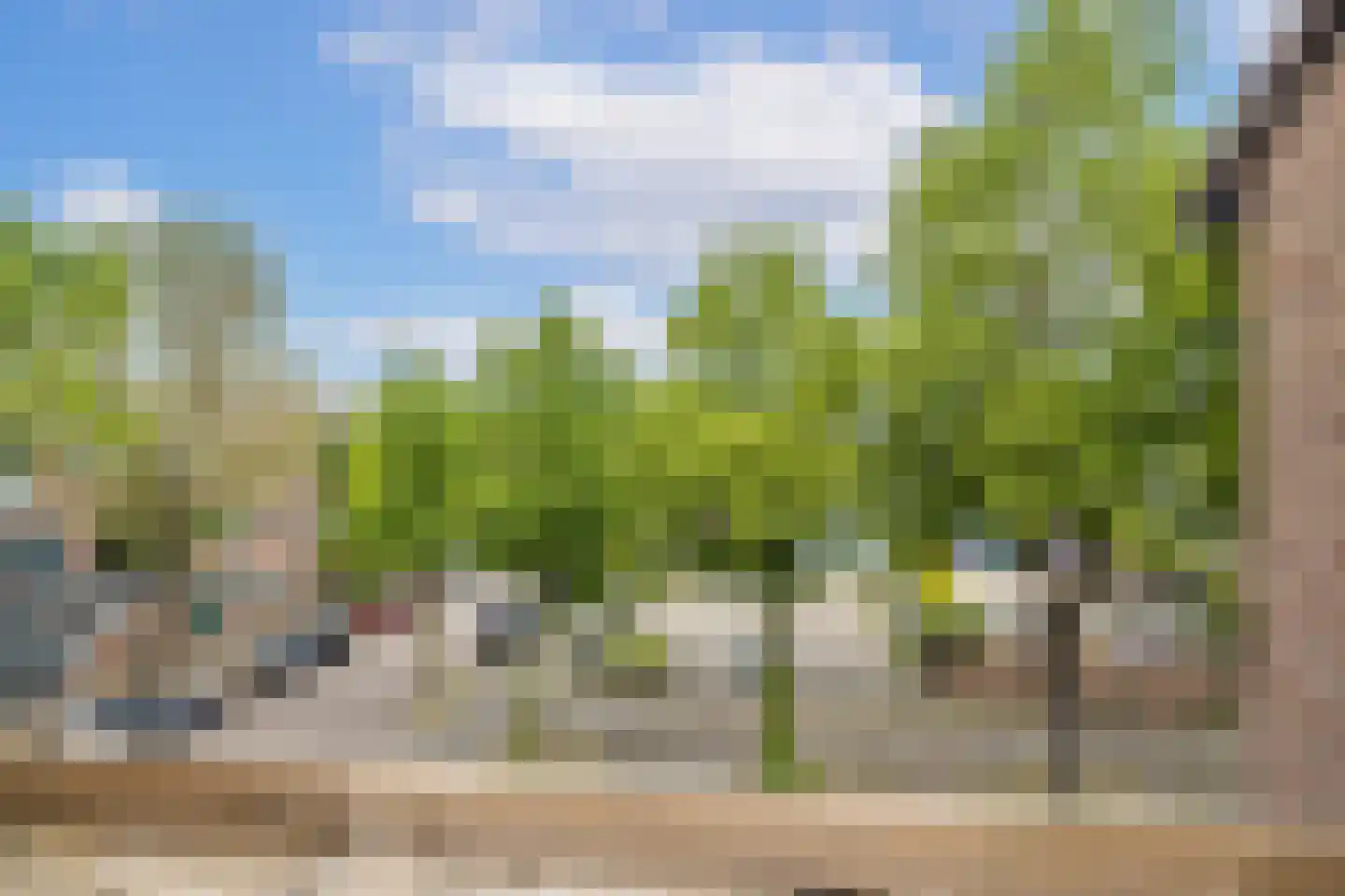 Wijnbesplantsoen 3 Utrecht thumbnail 40