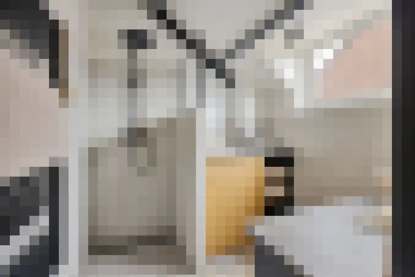 Wijnbesplantsoen 3 Utrecht thumbnail 5