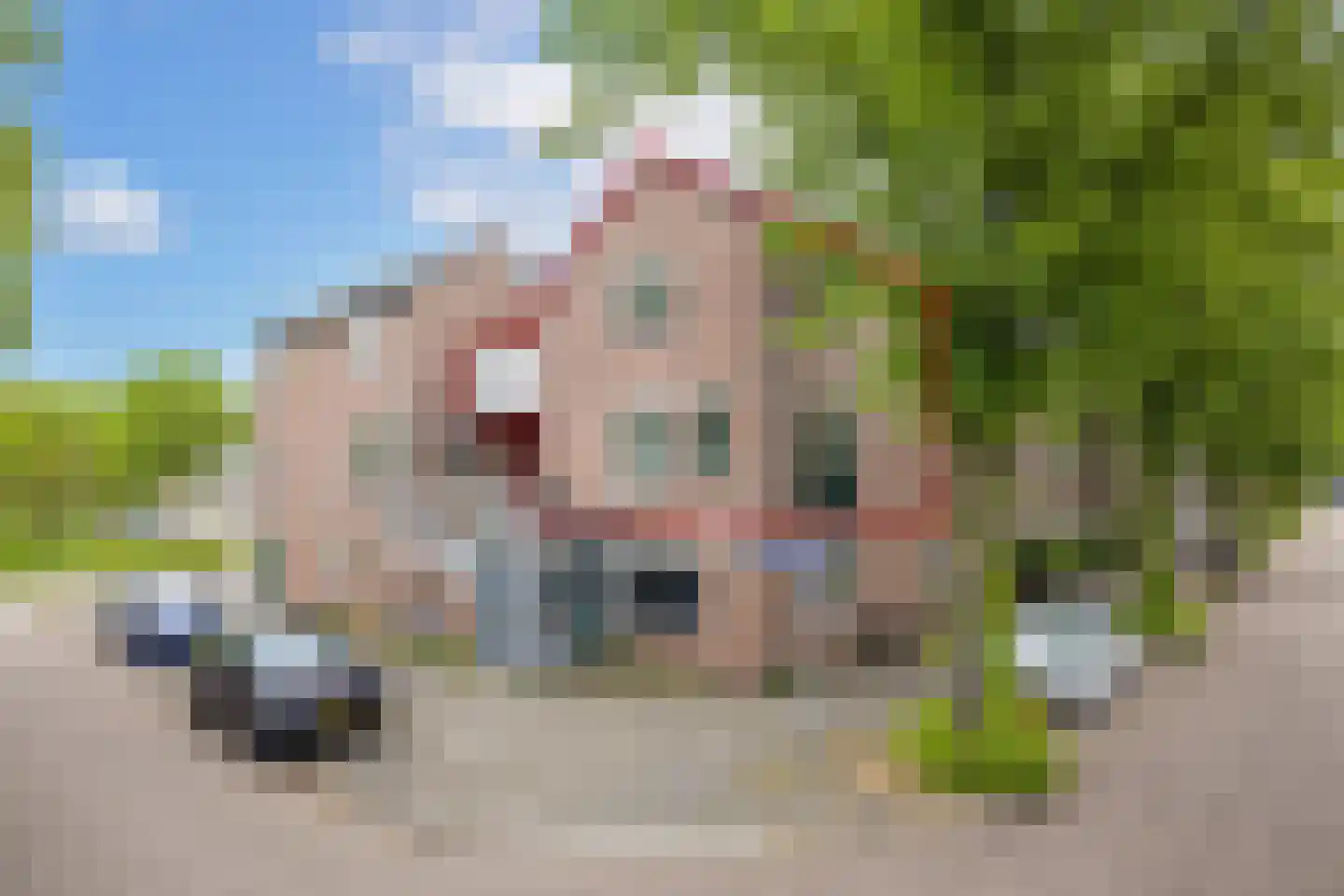 Wijnbesplantsoen 3 Utrecht thumbnail 7