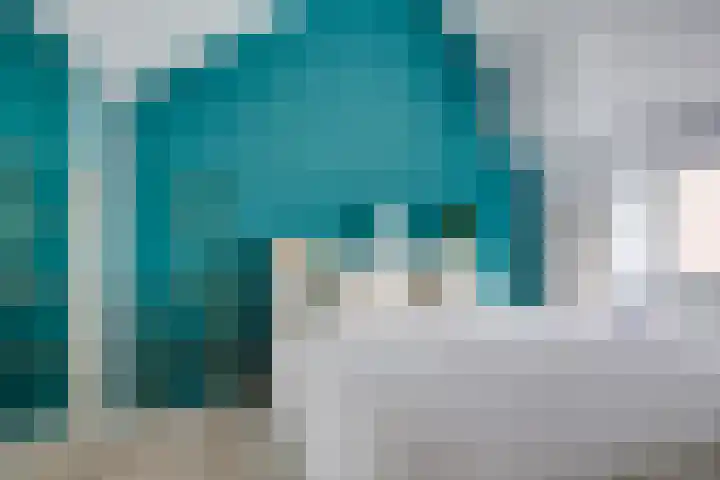 Wijnbesplantsoen 9 Utrecht thumbnail 20