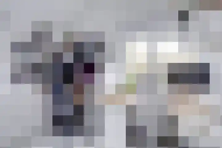 Wijnbesplantsoen 9 Utrecht thumbnail 25