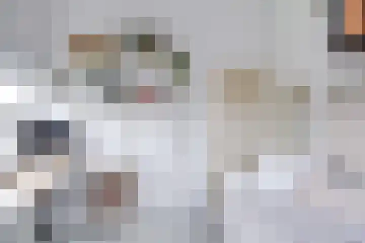 Wijnbesplantsoen 9 Utrecht thumbnail 26