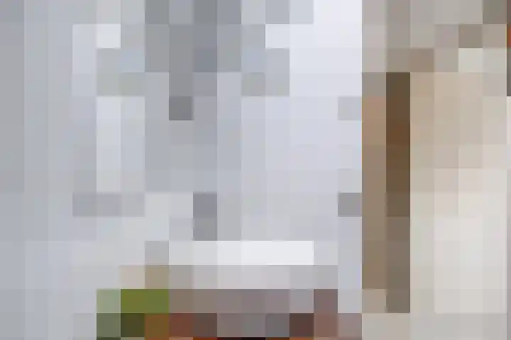Wijnbesplantsoen 9 Utrecht thumbnail 29