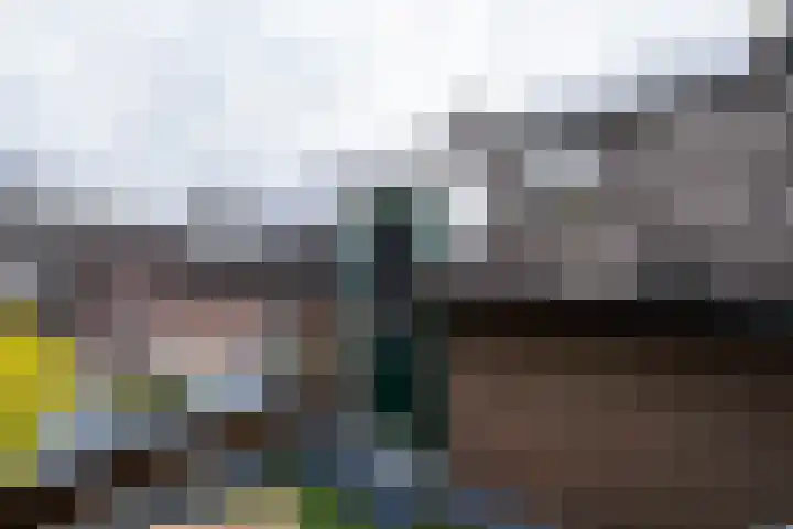 Wijnbesplantsoen 9 Utrecht thumbnail 33