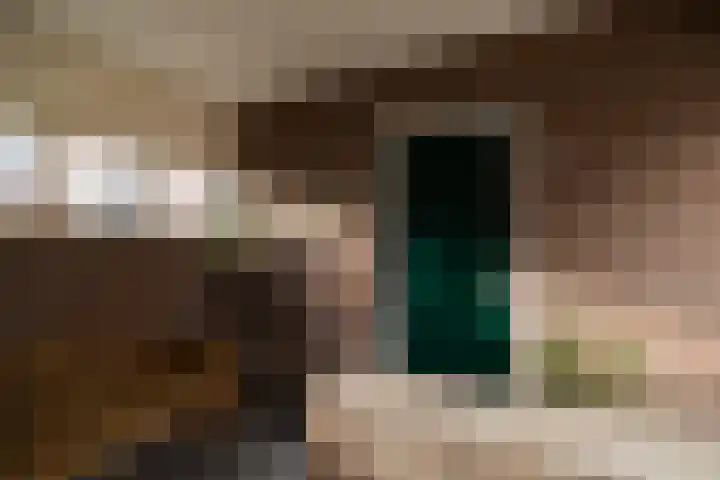 Wijnbesplantsoen 9 Utrecht thumbnail 34