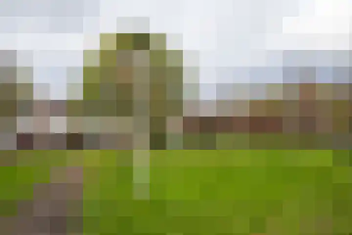 Wijnbesplantsoen 9 Utrecht thumbnail 37