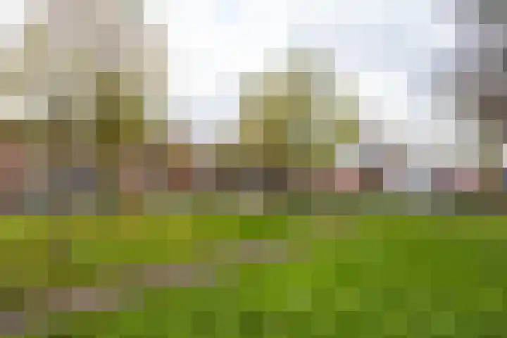 Wijnbesplantsoen 9 Utrecht thumbnail 39