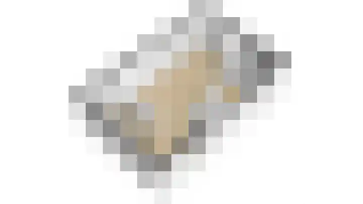 Wijnbesplantsoen 9 Utrecht thumbnail 41