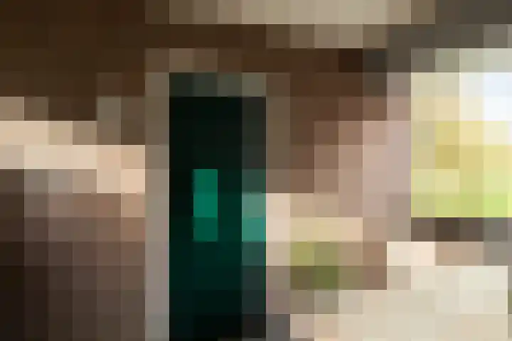 Wijnbesplantsoen 9 Utrecht thumbnail 5