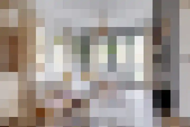 Wijnbesplantsoen 9 Utrecht thumbnail 6