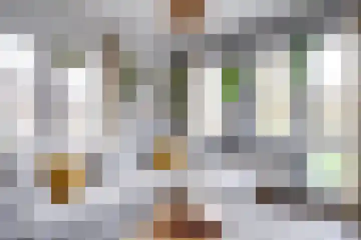 Wijnbesplantsoen 9 Utrecht thumbnail 9