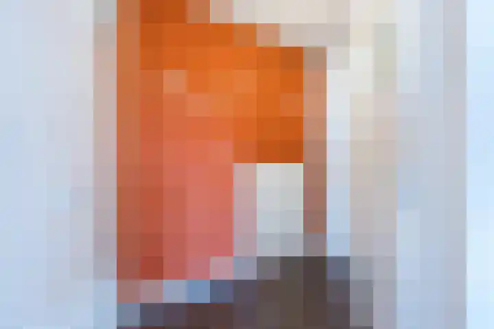 Wijnbesstraat 101 Nijmegen thumbnail 19