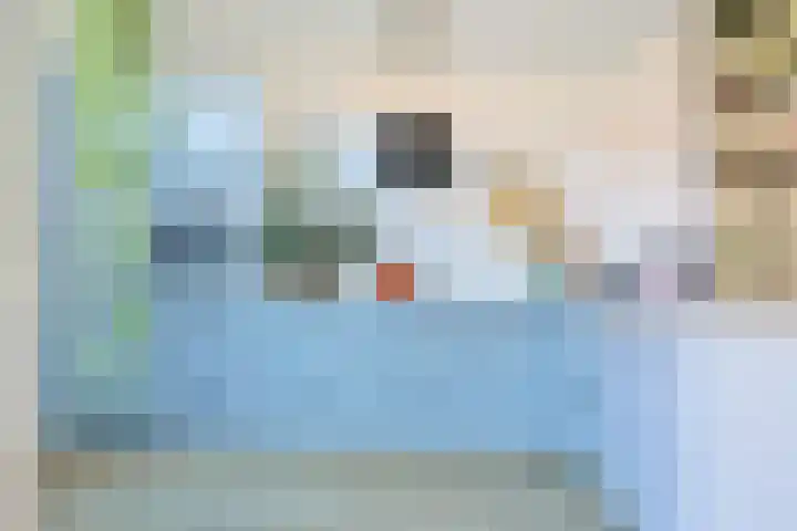 Wijnbesstraat 16 Utrecht thumbnail 11