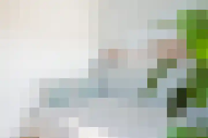 Wijnbesstraat 16 Utrecht thumbnail 17