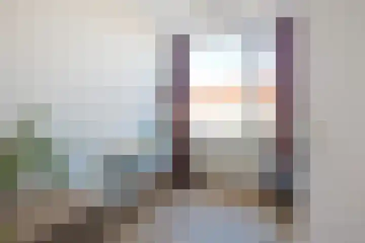 Wijnbesstraat 16 Utrecht thumbnail 20