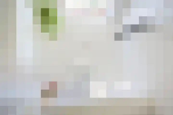 Wijnbesstraat 16 Utrecht thumbnail 24