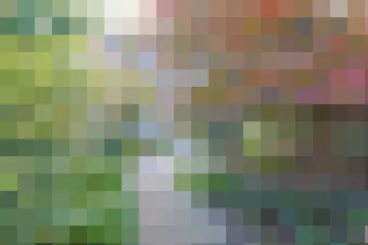 Wijnbesstraat 16 Utrecht thumbnail 31