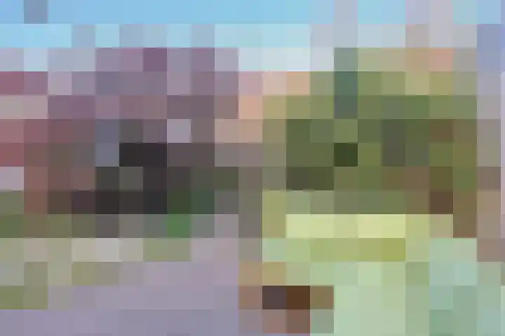 Wijnbesstraat 16 Utrecht thumbnail 32