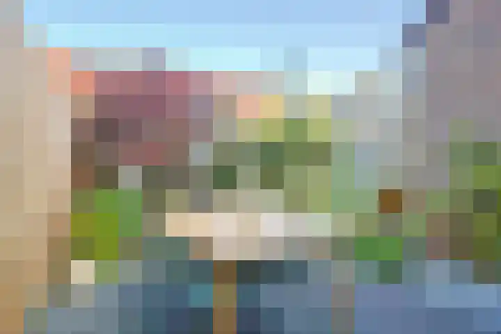 Wijnbesstraat 16 Utrecht thumbnail 33