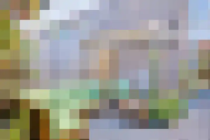 Wijnbesstraat 16 Utrecht thumbnail 34